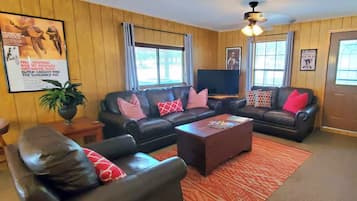 Smart TV, fireplace, books