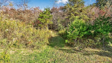 Área da propriedade