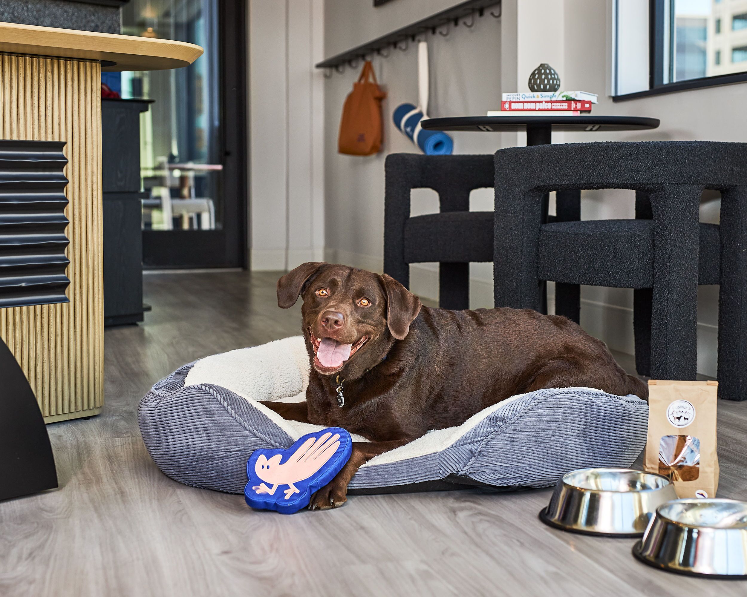 A dog lying on a pet bed in a room with a wooden table, a black chair, and a small table with books and a bag.