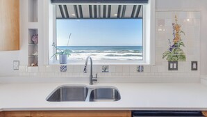 A kitchen with a view of the ocean, a stainless steel sink, and a potted plant.