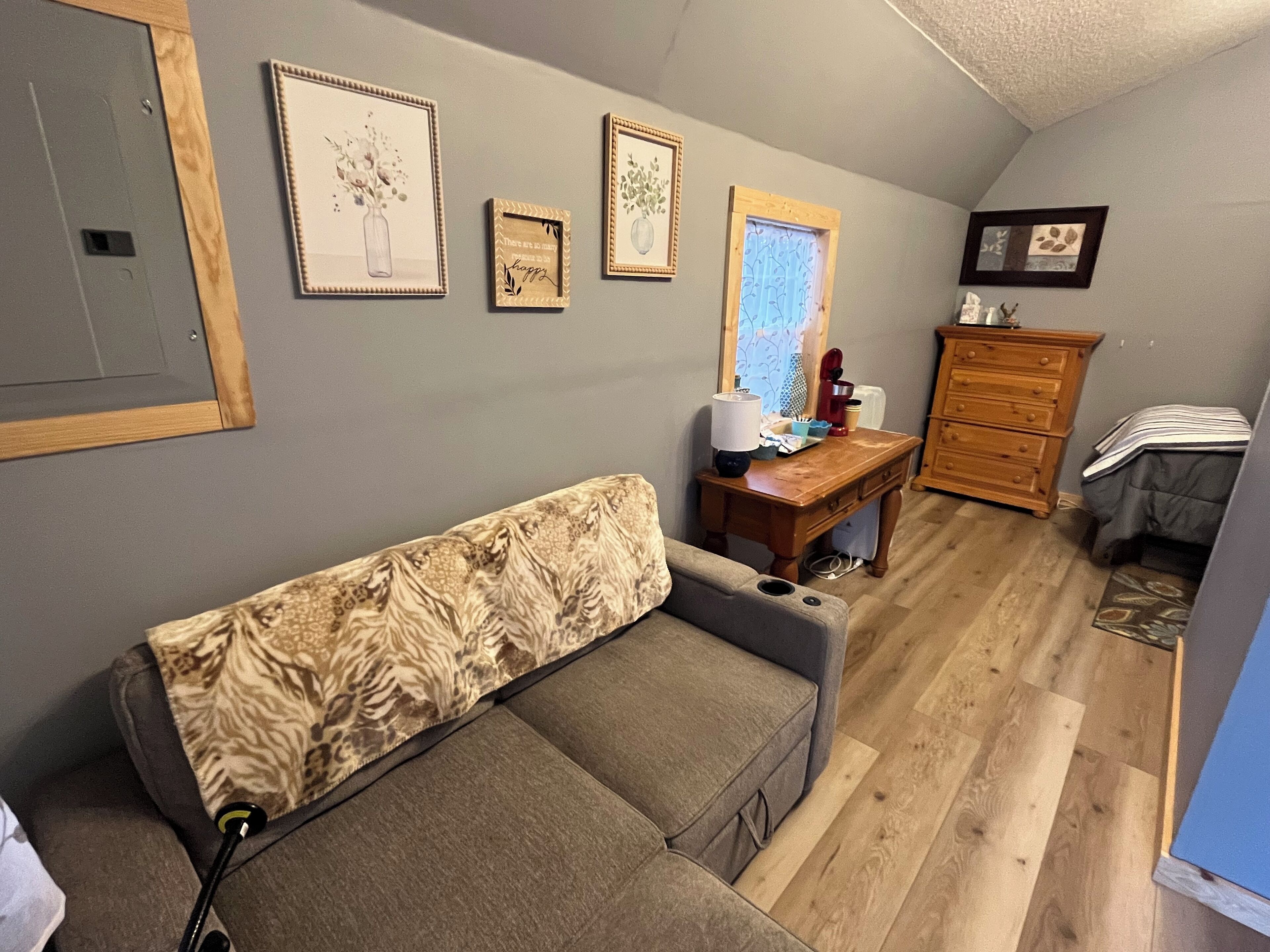 Un soggiorno con un divano grigio, una cassettiera in legno e un quadro appeso al muro.