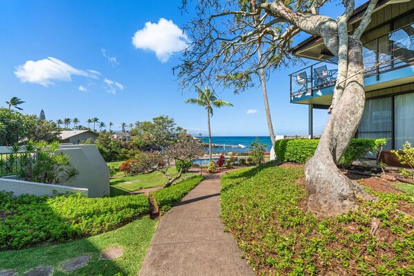 Property grounds - Napili Point A23  1BD with Unbeatable Sunset Views (Lahaina)