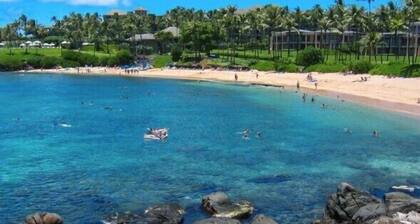 KGV 27T5 Fabulous 1BD Oceanview Villa