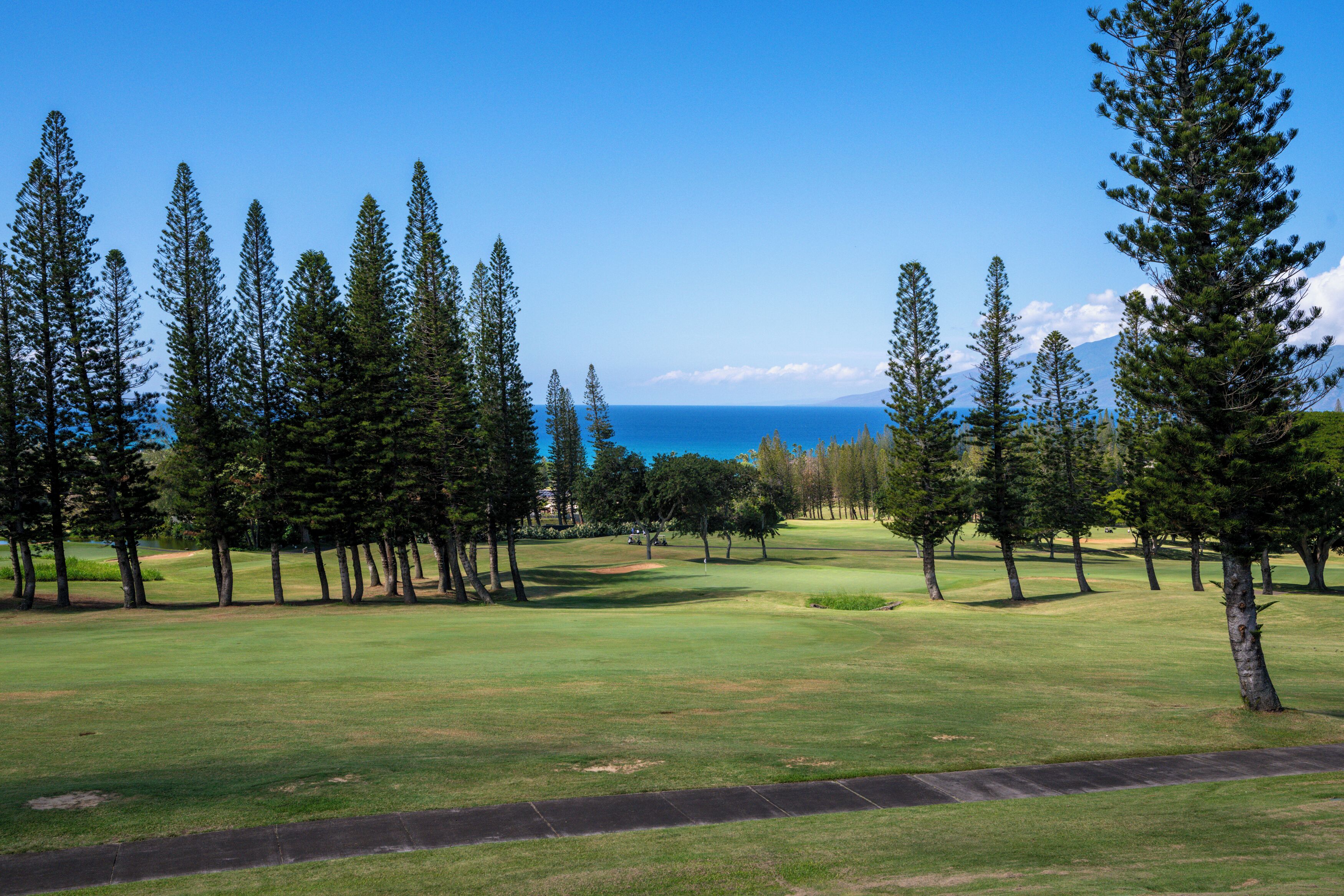 A golf course with a clear view of the ocean in the background.