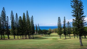 Un parcours de golf offrant une vue dégagée sur l’océan en arrière-plan.