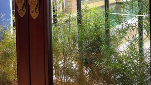 A wrought iron gate with intricate designs, leading to a courtyard with lush greenery and a glimpse of a building with a tiled facade. - Hotel Casa de la Acequia (Santa Marta)