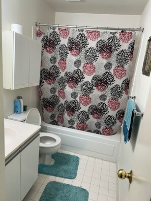 Hair dryer, towels, soap, toilet paper