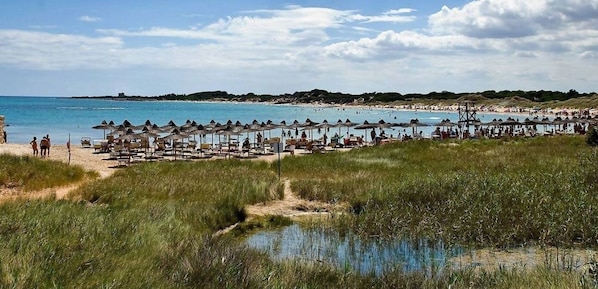 Uma praia com fileiras de guarda-sóis e espreguiçadeiras, um caminho de areia que leva à água, e vista para o mar e colinas ao longe.