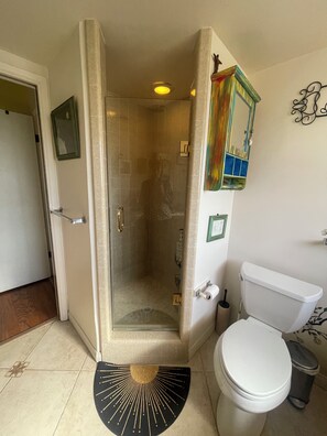 Dusche, Haartrockner, Handtücher, Seife