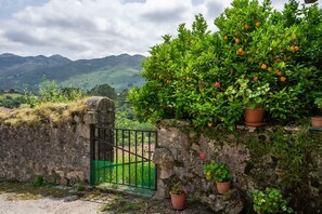 Àrea exterior de l'allotjament