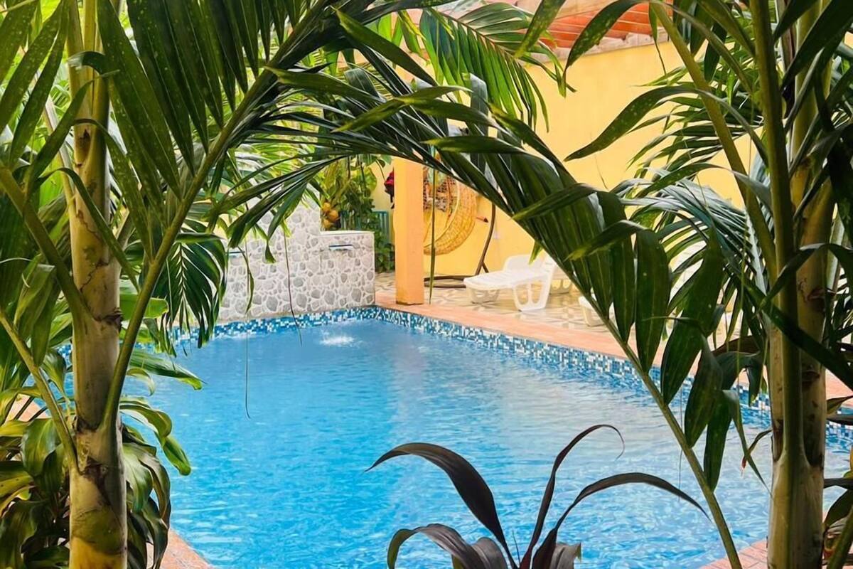 A swimming pool surrounded by lush tropical plants, with a stone wall and a yellow building in the background.