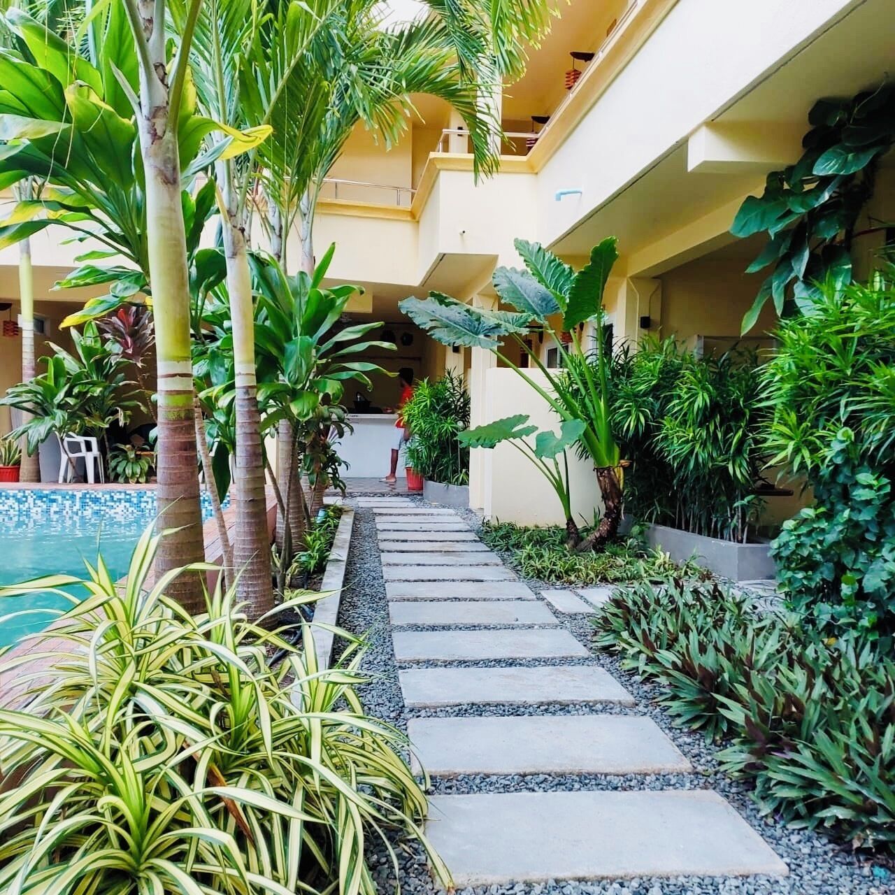 A courtyard with a pool, stone pathway, and various tropical plants.