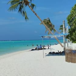 Gần bãi biển riêng, cát trắng, xe đưa đón bãi biển, khăn tắm biển