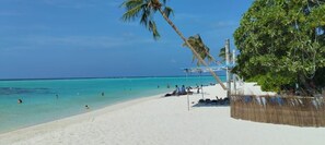 A beach with clear turquoise water, white sand, and a few people swimming. There is a palm tree and a structure with a roof. - SORENZO Maldives  (Thoddoo)