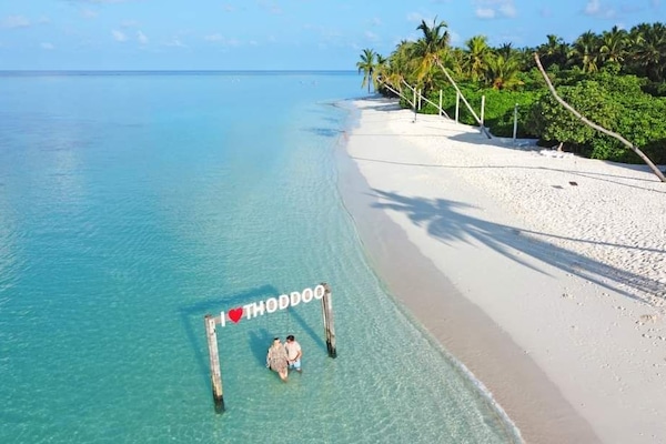 شاطئ خاص قريب، رمال بيضاء، حافلة نقل من وإلى الشاطئ، مناشف للشاطئ