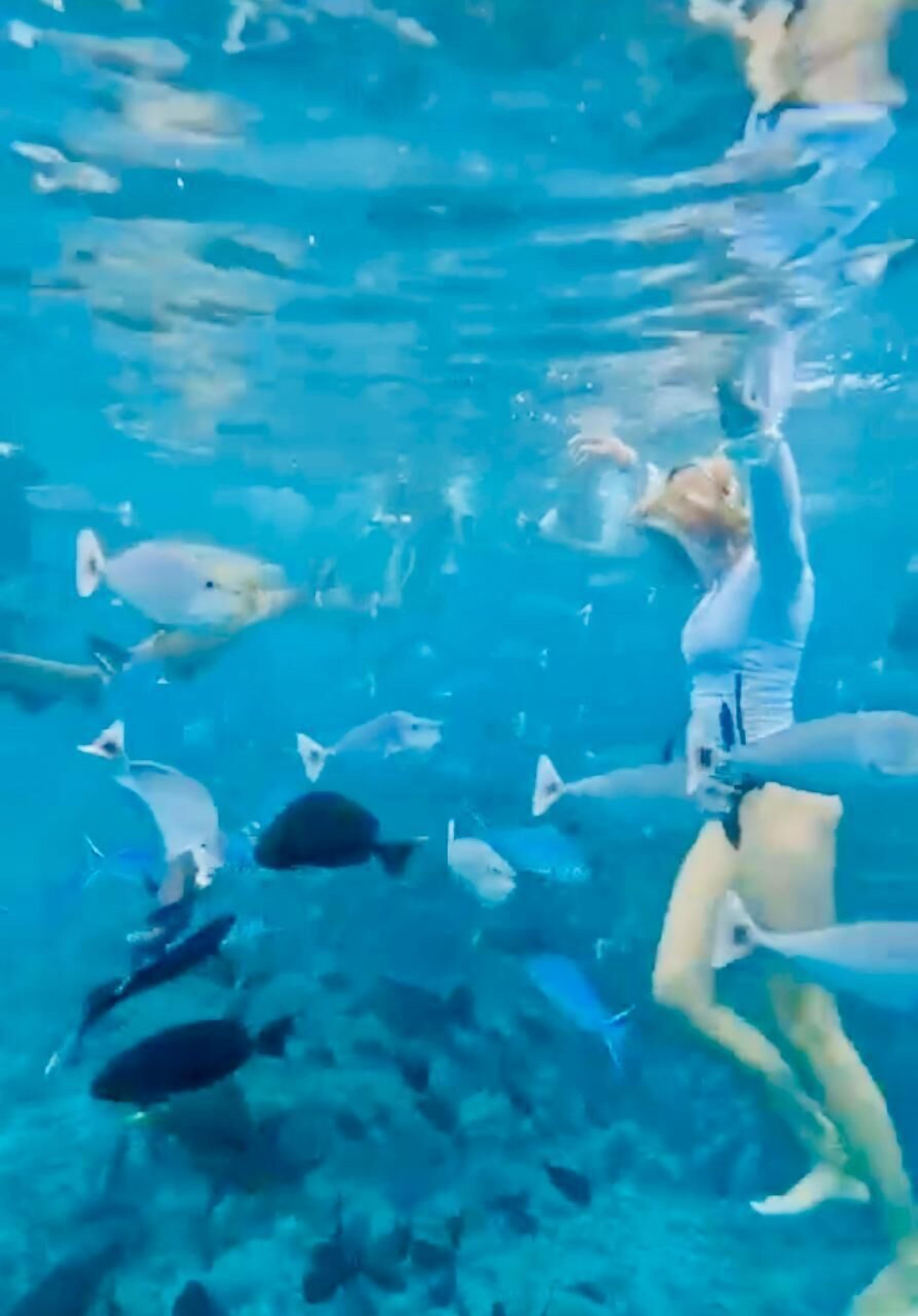 An underwater scene with a person swimming among fish.
