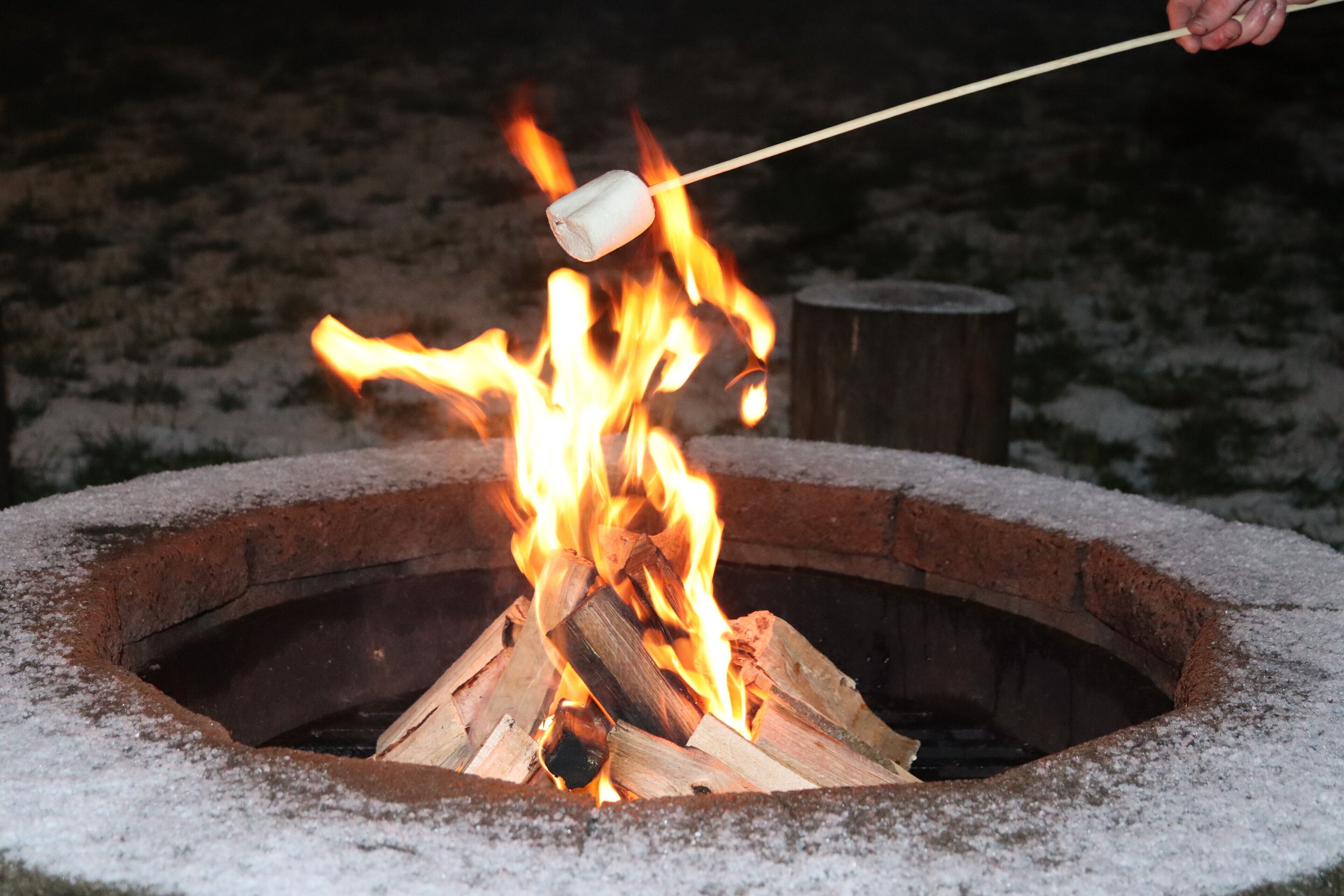 Una fogata con leños ardiendo, un malvavisco en un palo y una rama de madera al fondo.