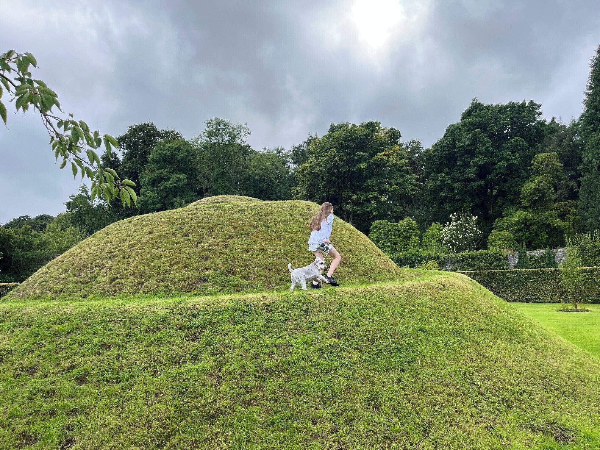 A person walking a dog on a grassy hill with trees in the background.