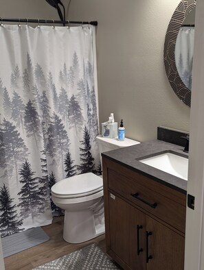 Hair dryer, towels, soap, shampoo