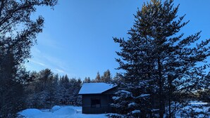Una cabaña rodeada de árboles cubiertos de nieve y un cielo despejado.