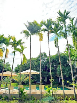 Outdoor pool, open 7:00 AM to 9:00 AM, free pool cabanas, pool umbrellas - Mealy Villa  (Siem Reap)