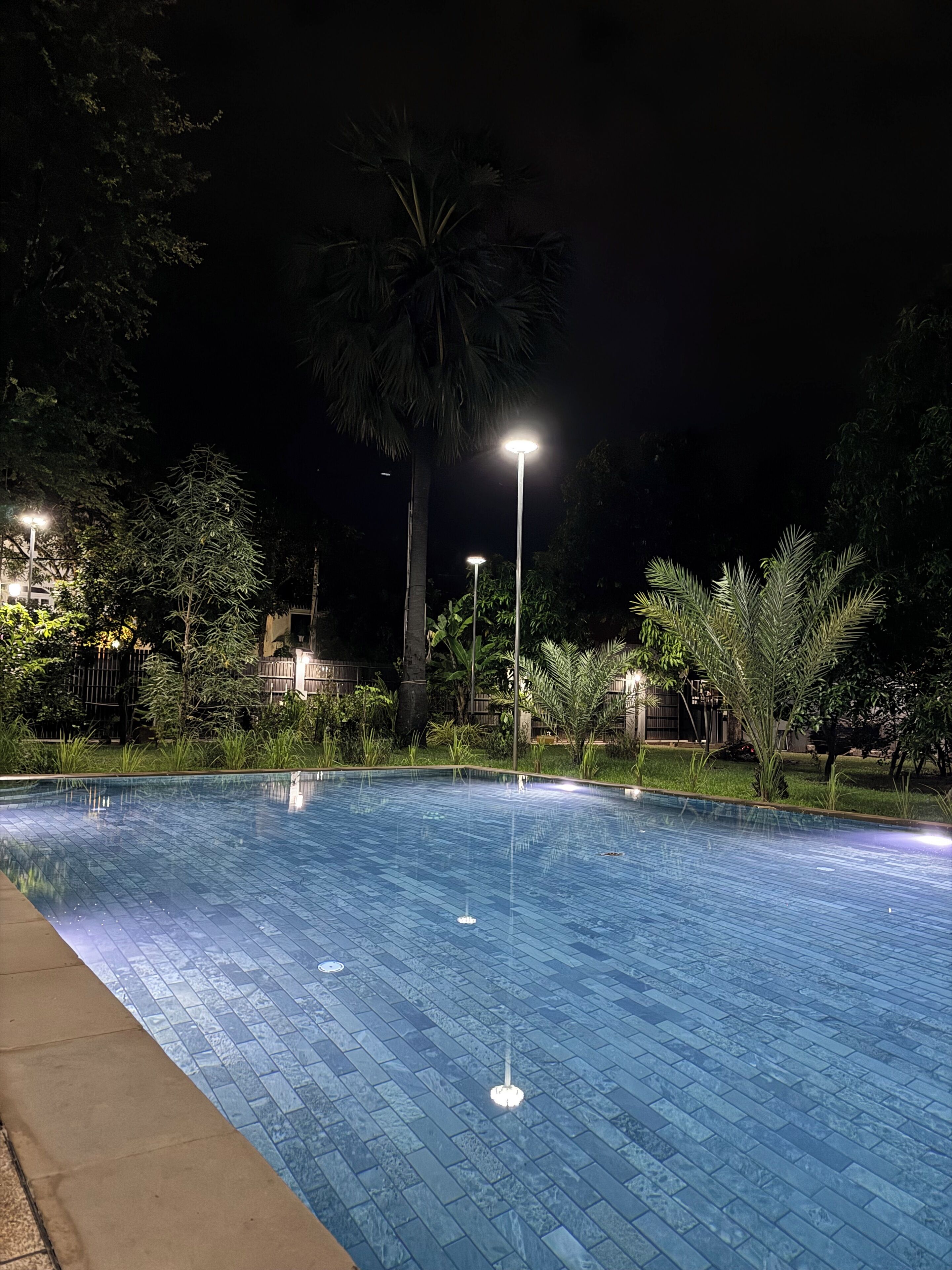 A swimming pool at night with surrounding trees and street lamps.