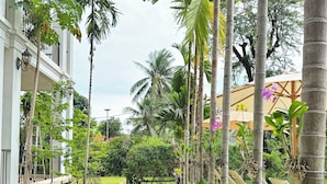 Ein gepflegter Garten mit verschiedenen tropischen Pflanzen und einer Rasenfläche, begrenzt von einem Gebäude mit Balkonen und Außenbeleuchtung.