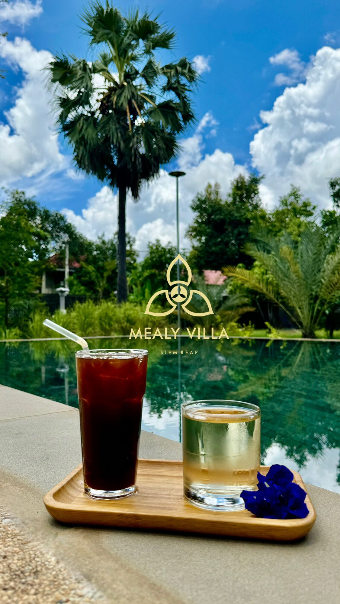 Una bandeja con un vaso de té helado y un vaso de agua, colocada junto a una piscina con palmeras y un cielo despejado al fondo.