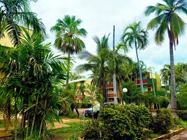 Jardín