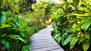 Property grounds - The Tula Suite - Driftwood Villas Scotts Head (Scotts Head)