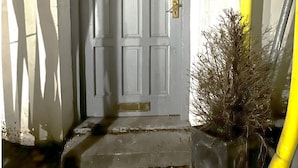 A white door with the number 159, a keypad lock, and a small potted plant beside it.