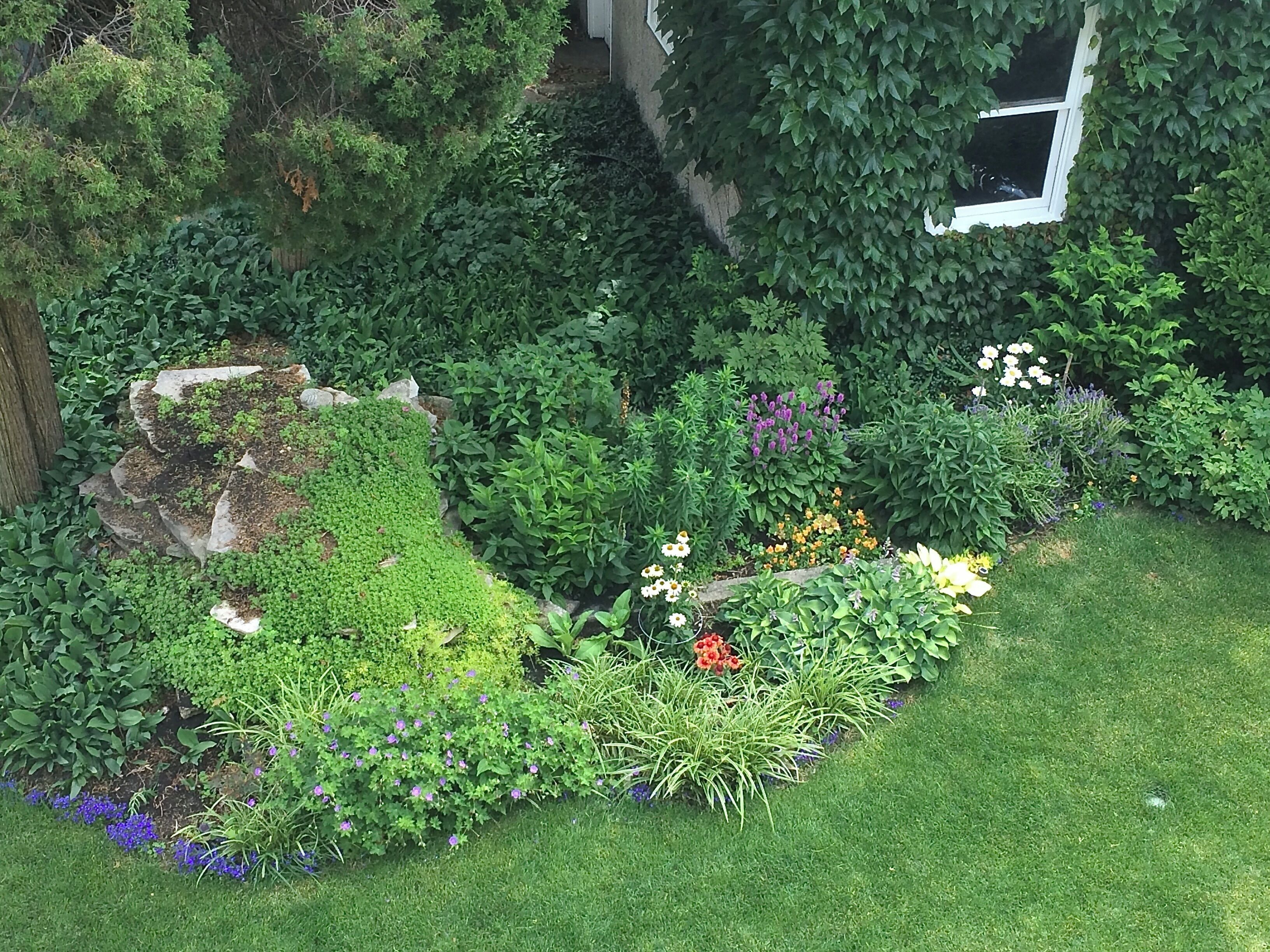 Áreas de la propiedad