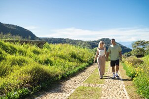 Una pareja caminando por un sendero de piedra rodeado de follaje y colinas.
