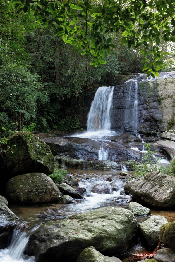 Ein Wasserfall stürzt über Felsen in bewaldetem Gebiet.