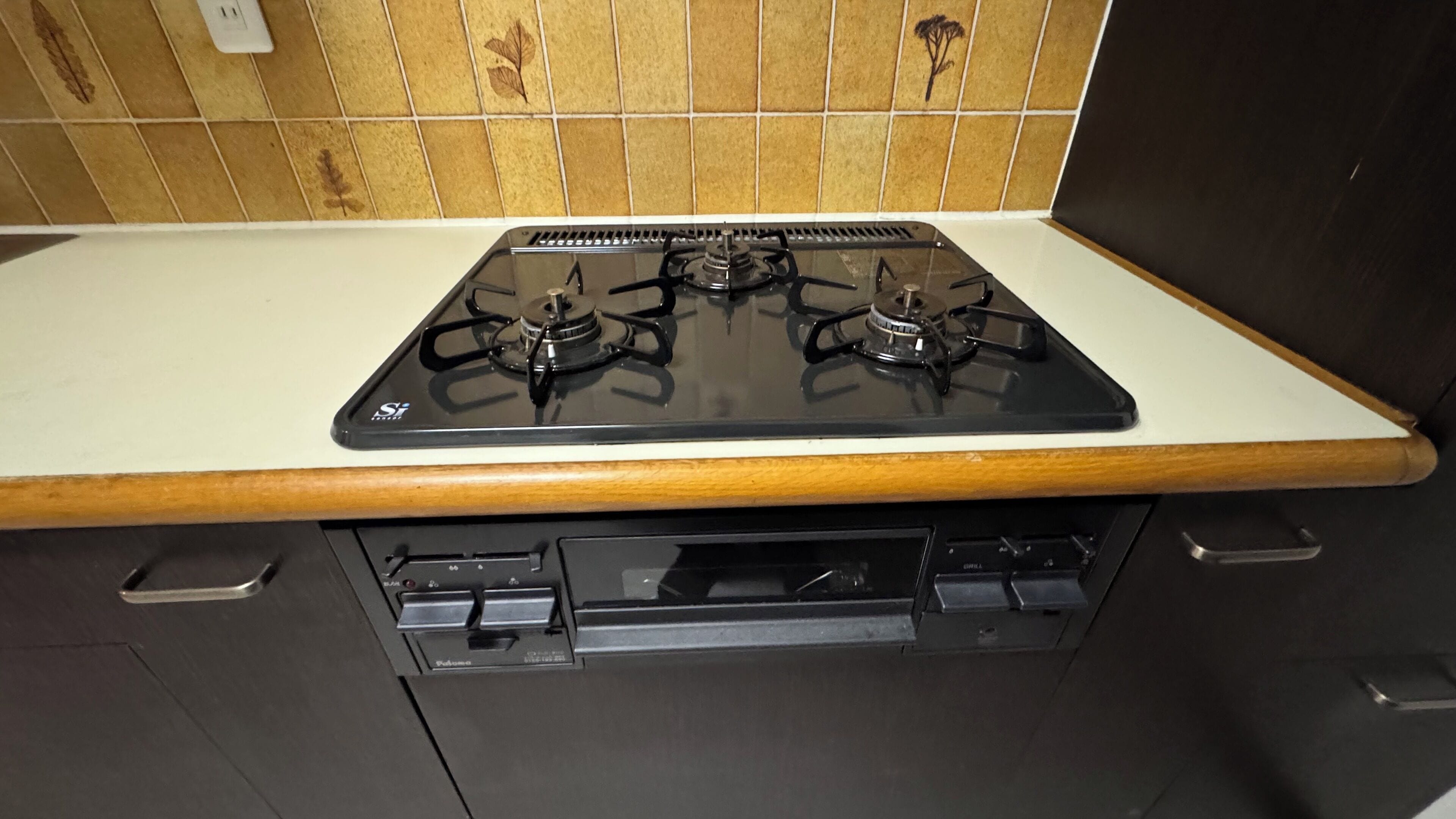 A kitchen with a gas stove, a wooden countertop, and a backsplash with leaf patterns.