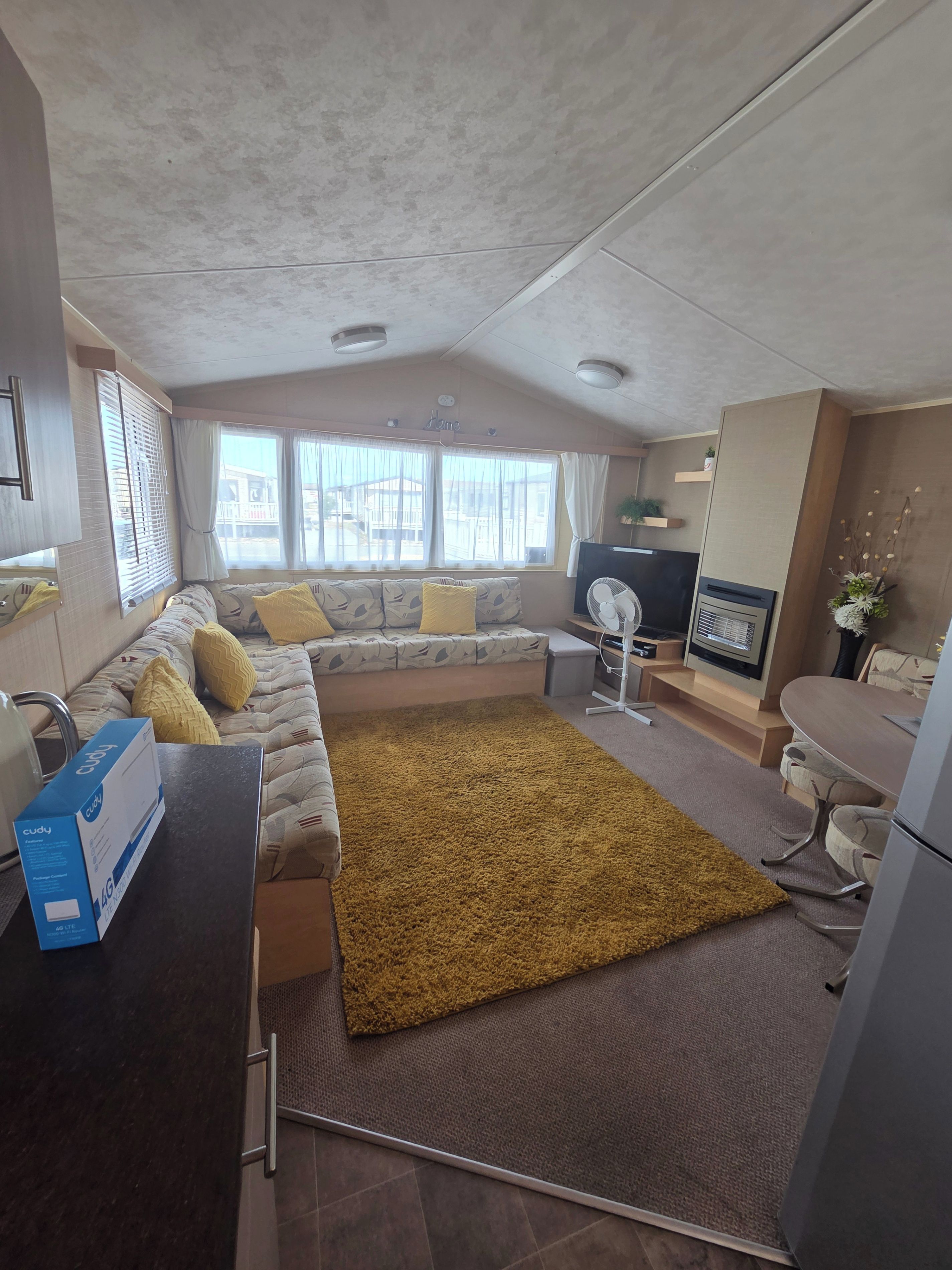 TV, fireplace
