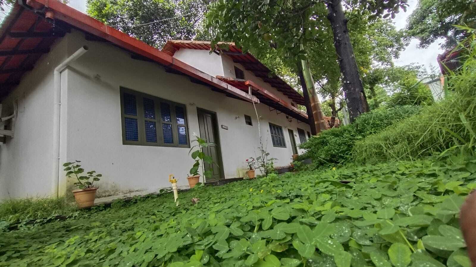 Un edificio blanco con techo rojo, rodeado de exuberante vegetación y plantas en macetas.