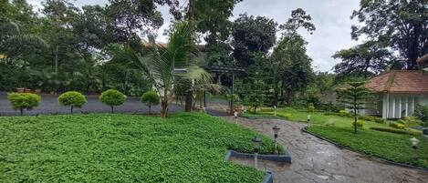 A landscaped garden with a paved walkway, neatly trimmed hedges, and a variety of trees.