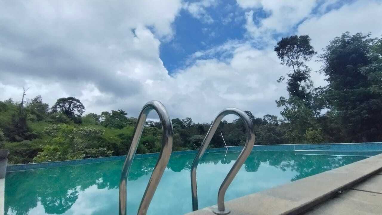 A swimming pool with metal handrails and a view of trees and sky.