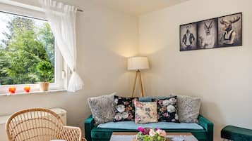 Fernseher, Stereoanlage