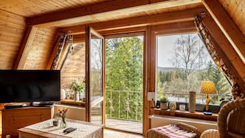 Fernseher, Stereoanlage