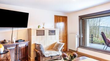 Fernseher, Stereoanlage