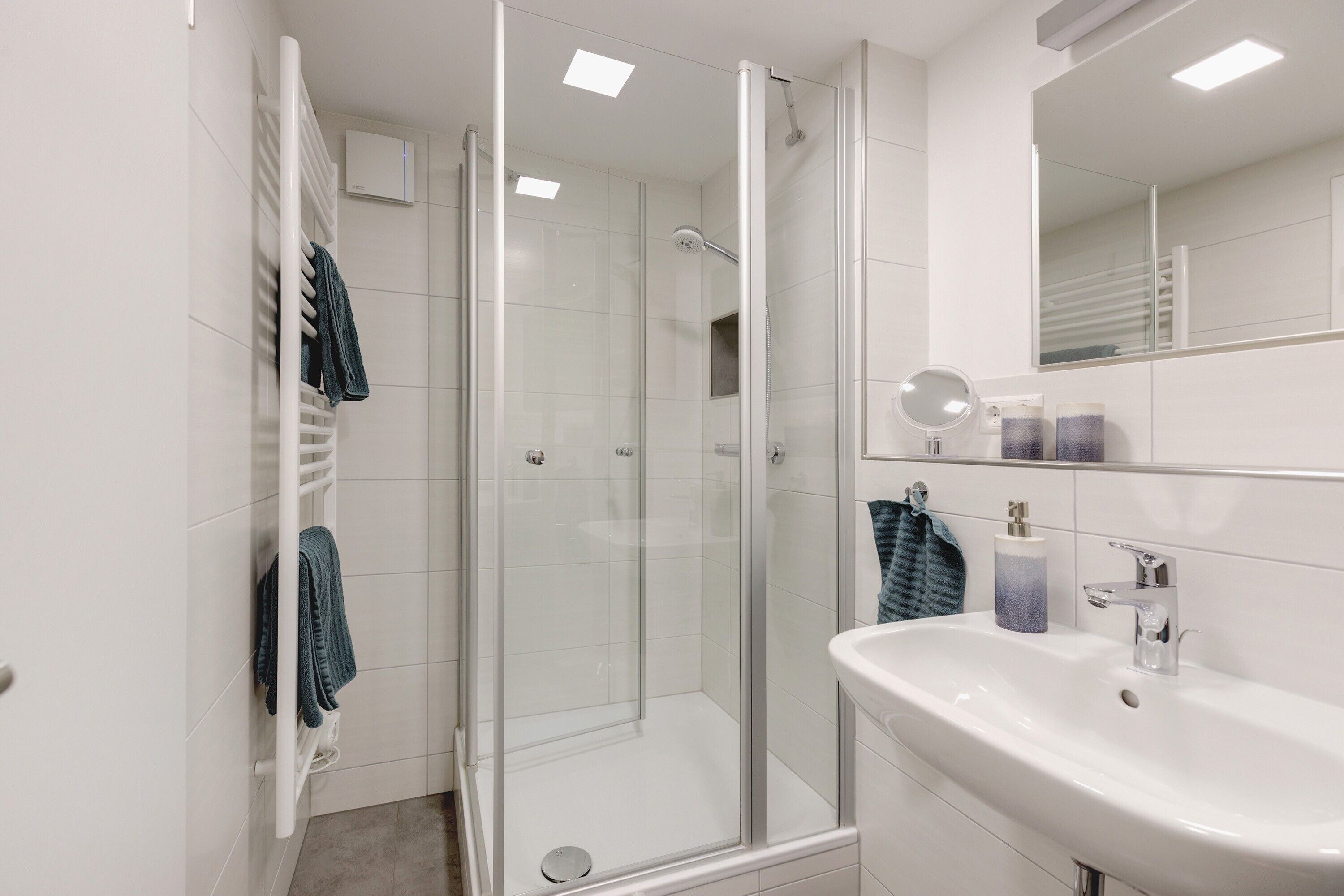 Shower, hair dryer, towels
