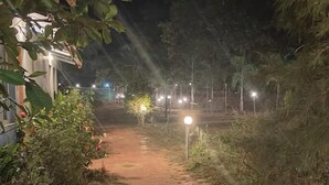 Un chemin pavé, recouvert de dalles hexagonales, mène à un bâtiment, lequel est entouré de verdure et éclairé par des lampadaires.