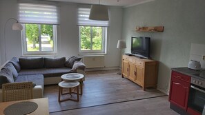 Fernseher