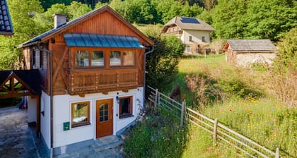 Cosy holiday home with terrace near ski resorts