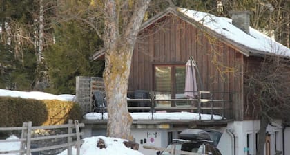 Cosy holiday home with terrace near the slopes