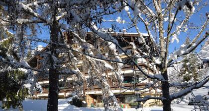 Praktisches Studio in der Nähe des Skilifts