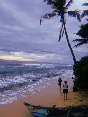 Vue sur la plage/l’océan