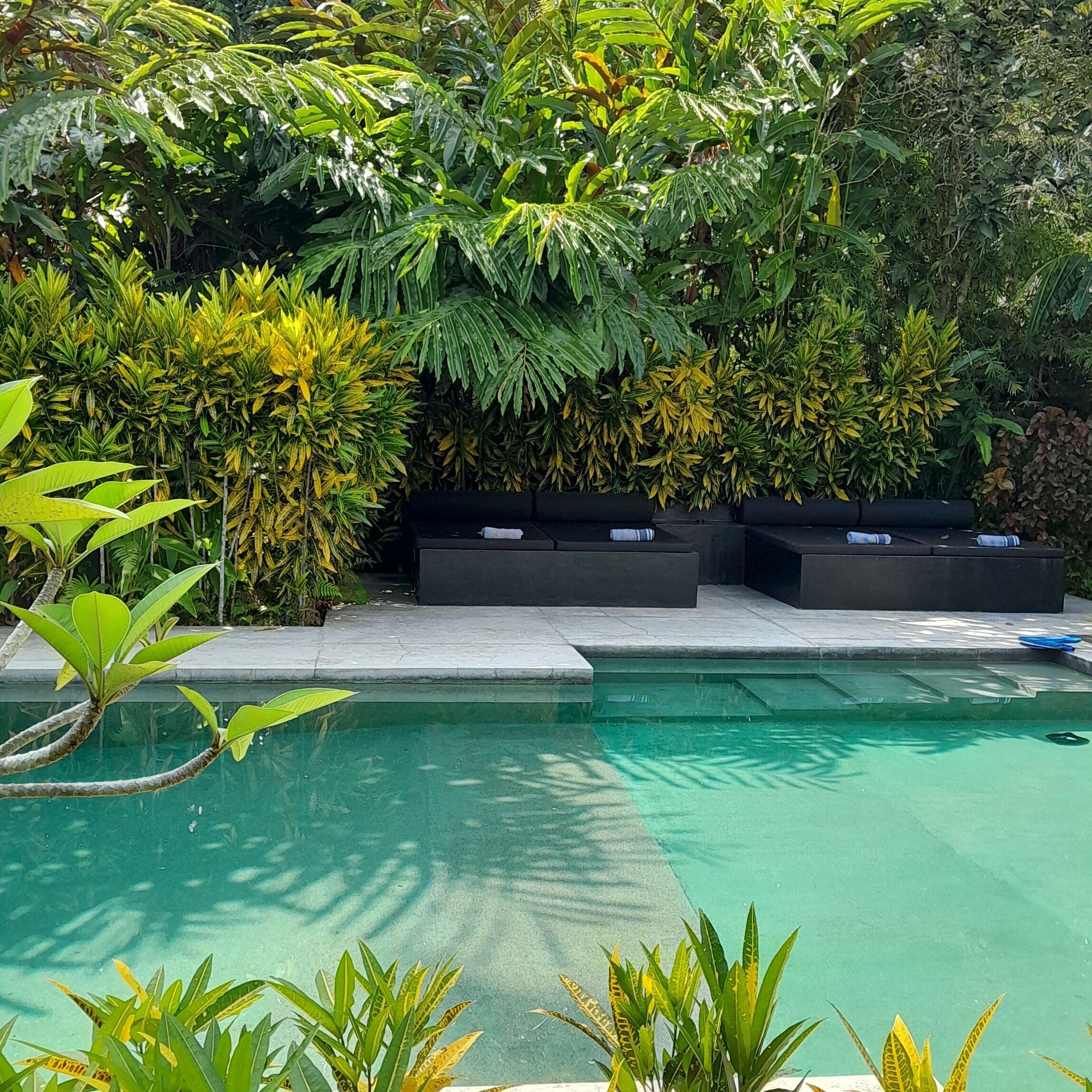 Piscine extérieure, chaises longues